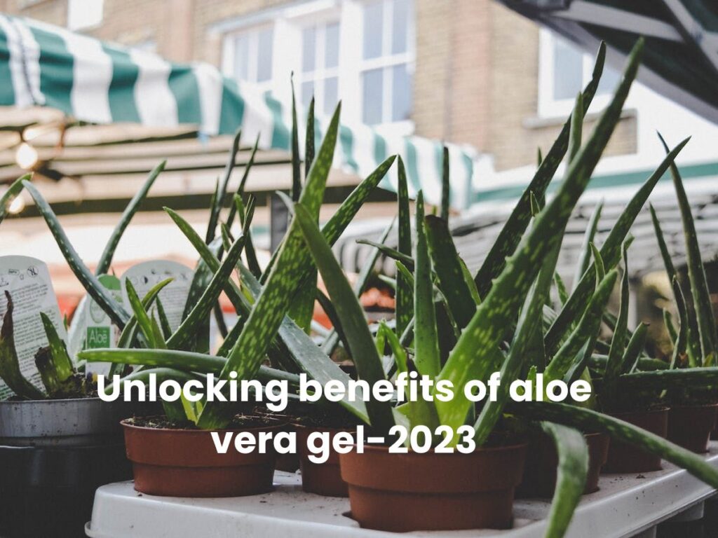 Unlocking benefits of aloe vera gel-2023